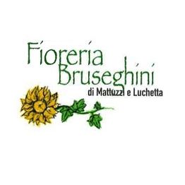 Fioreria e Impresa di Pompe Funebri Bruseghini logo
