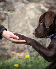 Anja Sehrt Fotografie Bild 3