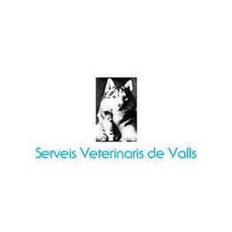 serveislogo.jpg