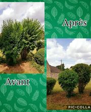 Richard Services image 6