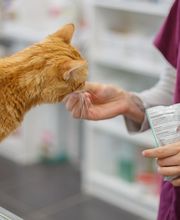 Clinique Vétérinaire Mon Véto Igoville image 12