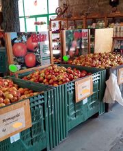 Beck's Obstscheune GmbH Bild 8