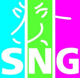 SNG Immobilien- und Versicherungsmakler GmbH logo