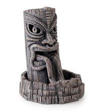 la ferme aux coleos image 11