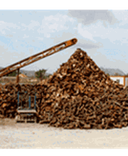 700809-Lenas-y-Carbones-Jorda-carrusel-1-min.png