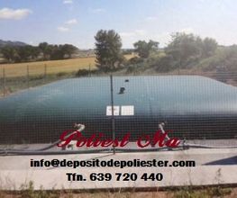 198937187-1-acTPeqzowt1604562151611.jpeg