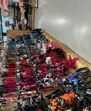 Tom&Co Chasse sur Rhône image 3