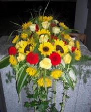 Blumen Jakob Bild 4