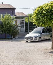 Gallery Professionale