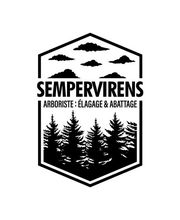 Sempervirens image 2