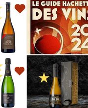 DOMAINE DE L'ÉTÉ ET CHATEAU DES ROCHETTES SCEA CATHERINE NOLOT image 14