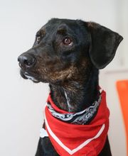 My Way Services SA Bild 4