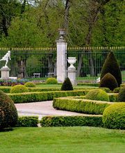 Ratton Philippe image 1