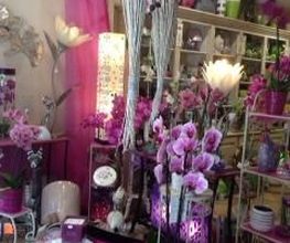 Petite Fleur image 7