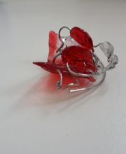 Laboratoire Easy Ortho image 3