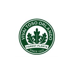 Vivai Toso Orlando logo