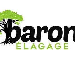 Baron Élagage image 7