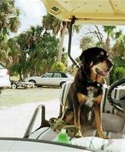 Sabin Marketing and Promotions image 15