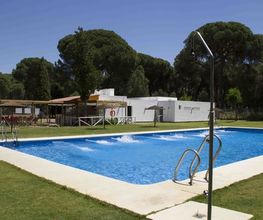 Piscina_Camping_Dehesa_Nueva_Aznalcazar.jpg