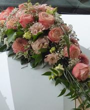 Gärtnerei Mohring Bild 7