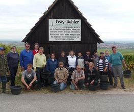 Frey Sohler image 12