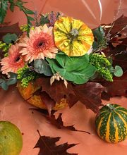 Efflorescence image 3