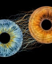 Studio Lichtwert Bild 8