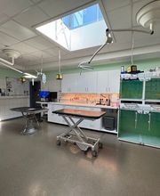 Animova Veterinarian - Tierarzt Bild 2