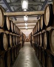 Le Vin Devant Soi image 4