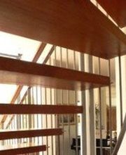 Dumas Olivier image 1