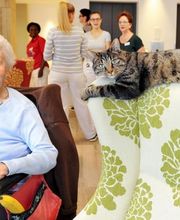 RIEDHOF Leben und Wohnen im Alter Bild 6