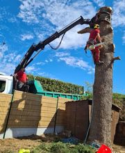 Chassagrande Elagage Fils image 4