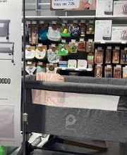 Orchestra AGNEAUX image 6