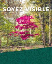 Mediaprint & CO image 1