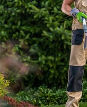 Mantenimiento de jardines y piscinas Wolfgang Marschall imagen 5