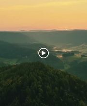 pur natur Holzprodukte Bild 3