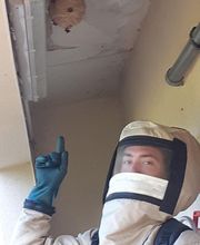 Action 3D Nuisibles image 8