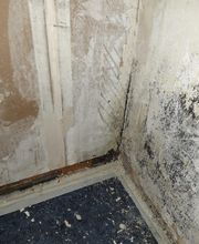 Baumann Bauservice Bild 9