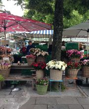 Blumen Müller Bild 10