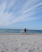 Ferienwohnungen Achtern Diek Haus 8 Whg. 4 Bild 8