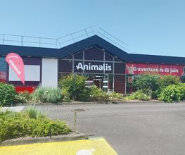 Animalis Limoges image 2
