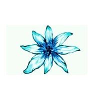 Edelweiss Zahnprothetik