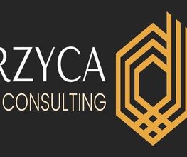David Jurzyca Consulting Bild 2