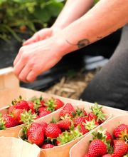Ferme Fruitière de la Hautière image 8