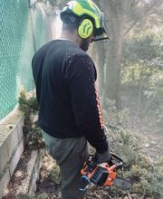 Sos Elagage image 15