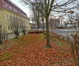 WEGA Garten & Landschaft Bild 5