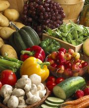 Carsten Berger Kartoffelhandel Bild 1