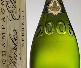Champagne Ellner image 3