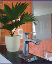 BAD-Meister Michael Krause Bild 1