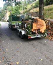 Des Racines à la Cime image 11